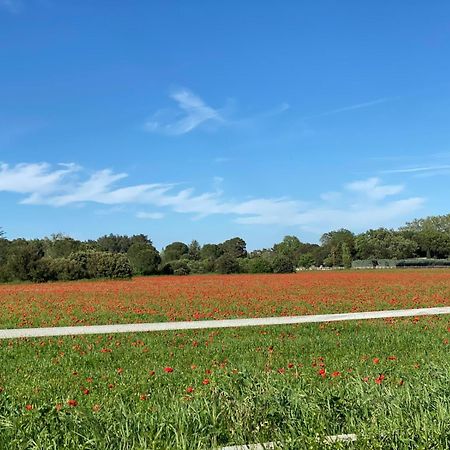 Le Gite Des Poiriers Uzes Exterior photo