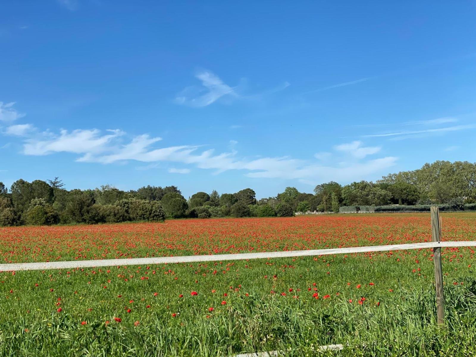 Le Gite Des Poiriers Uzes Exterior photo